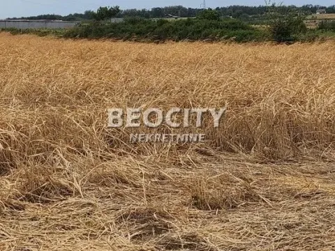 Prodaja, plac, 100m², Sremčica, Beograd - image 2