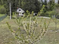 Prodaja, kuća, 54m², Grocka, Beograd - image 9