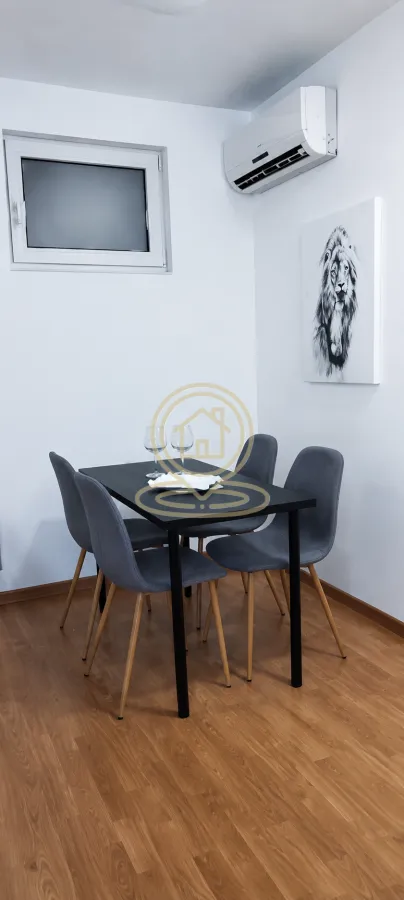 Izdavanje, dvosoban stan, 44m², Vračar Sve Podlokacije, Beograd