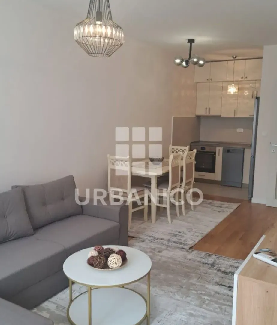 Rent, one bedroom apartment, 46m², Central Point, Podgorica
