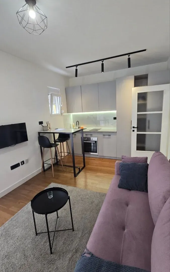 Rent, one bedroom apartment, 24m², Zagorič, Podgorica