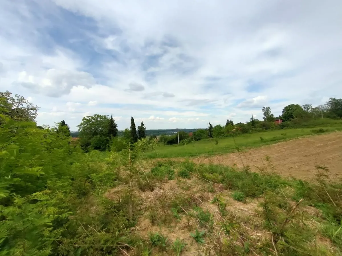 Prodaja, plac, 7600m², Ledinci, Petrovaradin