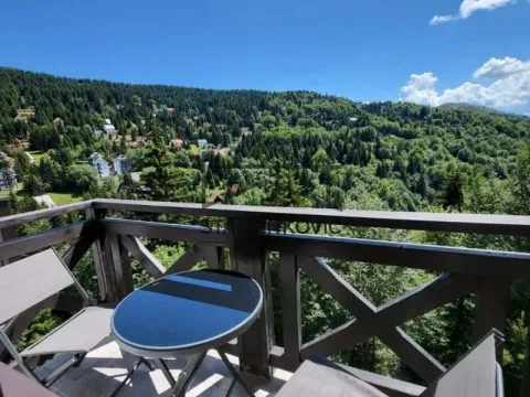 Sale, one bedroom apartment, 27m², Kopaonik, Srbija - image 7