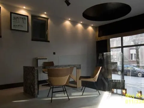 Prodaja, poslovni prostor, 99m², Botanička Bašta, Palilula Sve Podlokacije