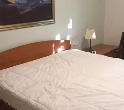 Izdavanje, kuća, 280m², Zvezdarska Šuma, Zvezdara Sve Podlokacije - image 5