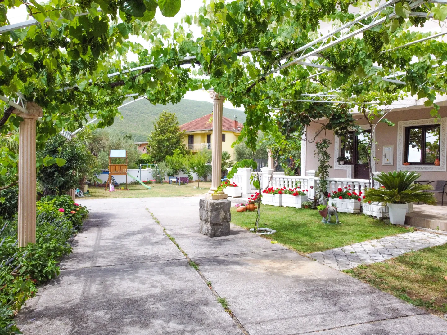 Spacious yard of the house with a paved area, landscaped lawn, and a canopy with grapevine.