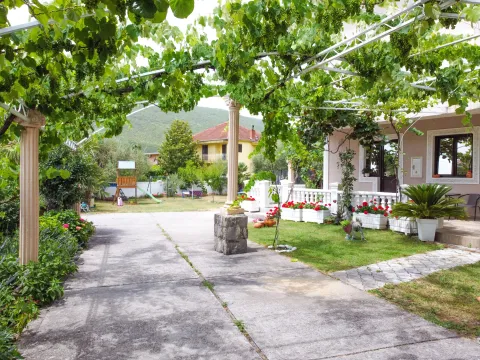 Spacious yard of the house with a paved area, landscaped lawn, and a canopy with grapevine. - image 9