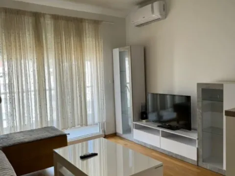 Izdavanje, garsonjera, 30m², Ljubović, Podgorica - image 8