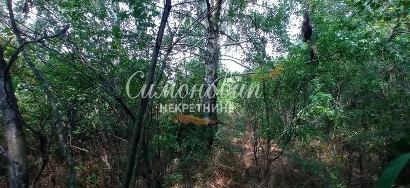 Prodaja, plac, 850m², Surčin, Beograd