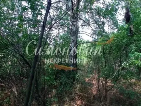 Prodaja, plac, 850m², Surčin, Beograd - image 15