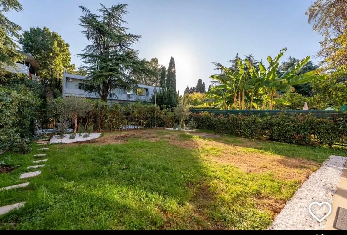 Landscaped yard with lawn and vegetation in front of the house.