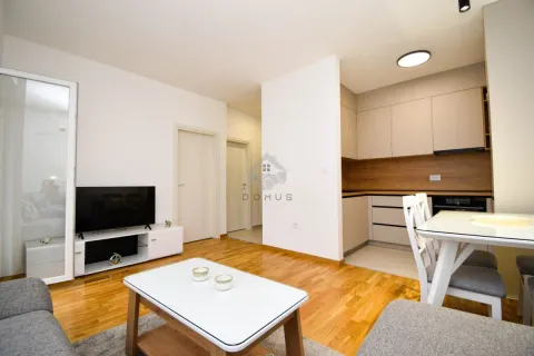 Rent, one bedroom apartment, 42m², Zabjelo, Podgorica - image 3