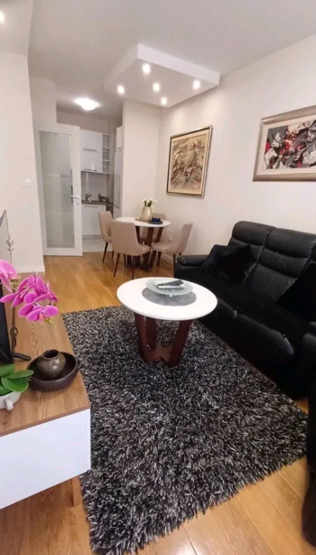 Izdavanje, jednosoban stan, 45m², Central Point, Podgorica