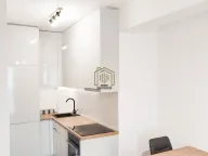 Izdavanje, jednosoban stan, 36m², Stari Aerodrom, Podgorica - image 7