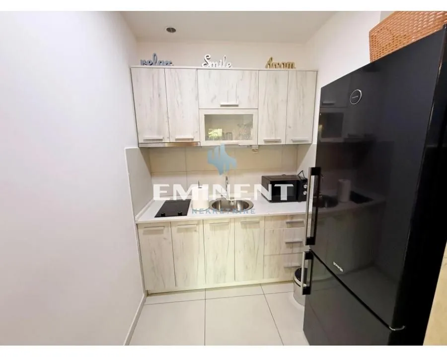 Izdavanje, jednosoban stan, 35m², Novi Beograd Blok 67, Novi Beograd Sve Podlokacije
