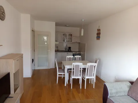 Izdavanje, jednosoban stan, 49m², Central Point, Podgorica - image 10