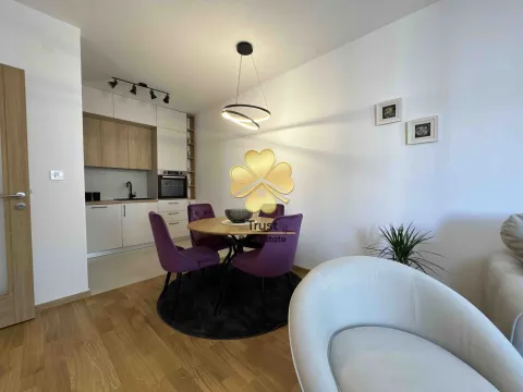 Izdavanje, jednosoban stan, 50m², Podgorica, Crna Gora - image 3