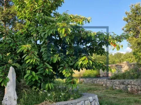 Prodaja, kuća, 250m², Kuči, Podgorica - image 2