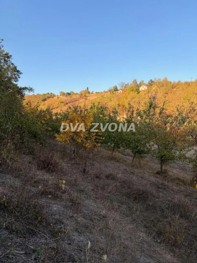 Pogled na zeleno dvorište i prirodu u jesenjim bojama.