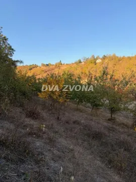 Pogled na zeleno dvorište i prirodu u jesenjim bojama. - image 8