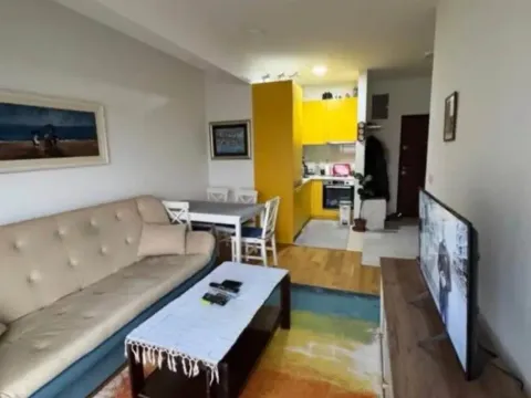 Izdavanje, jednosoban stan, 40m², Stari Aerodrom, Podgorica - image 5