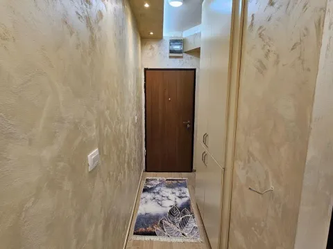 Prodaja, jednosoban stan, 20m², Zabjelo, Podgorica - image 3