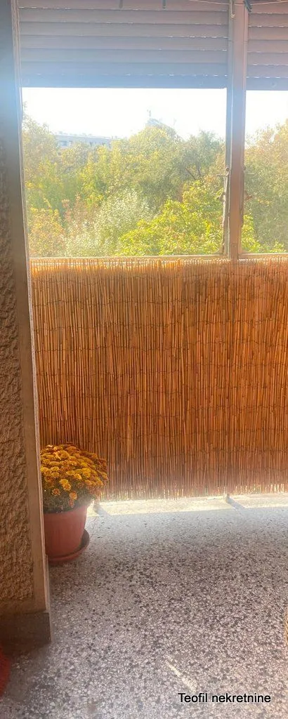 Manji natkriveni balkon sa ogradom od trske i saksijom sa cvećem.