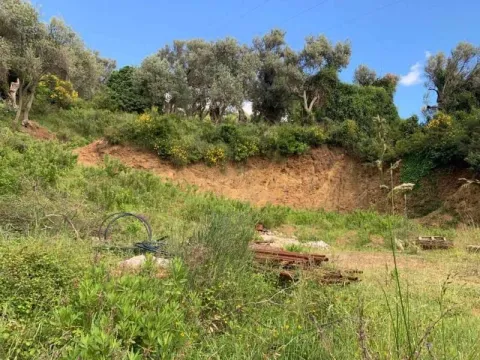 Prodaja, plac, 655m², Bar, Crna Gora - image 1