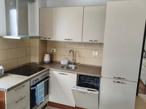 Compact kitchen with a built-in hob, oven, dishwasher, and sink. - image 6