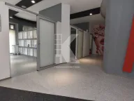 Rent, office space, 347m², Krivi Most, Podgorica - image 14