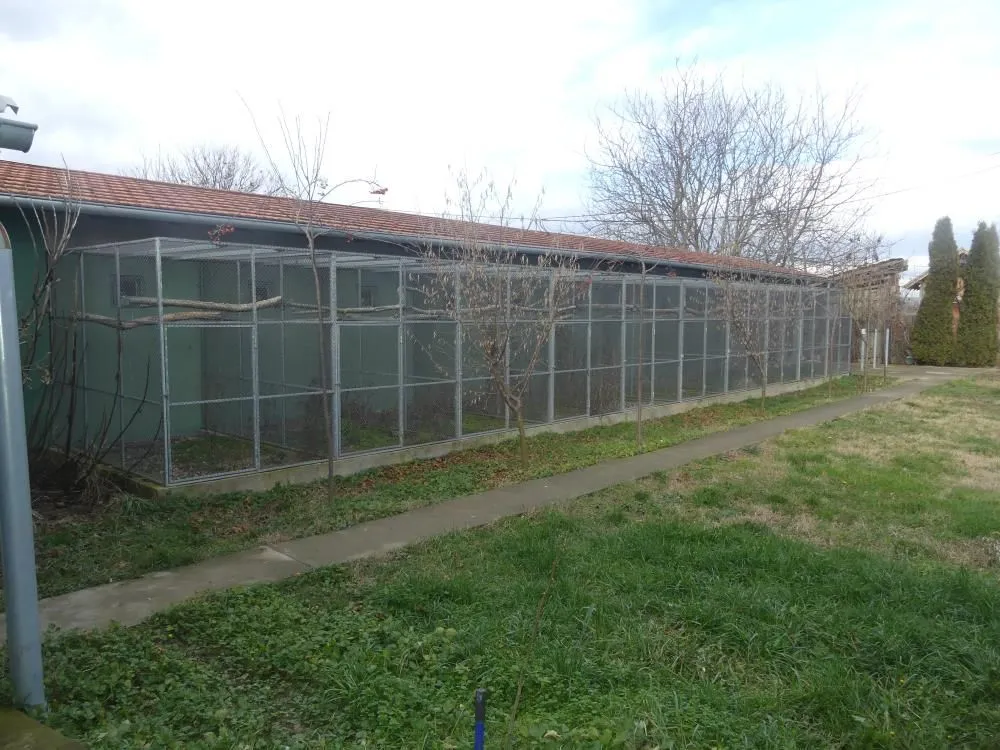 Prodaja, kuća, 113m², Ribare, Jagodina