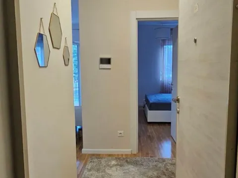 Izdavanje, jednosoban stan, 41m², Zabjelo, Podgorica - image 4