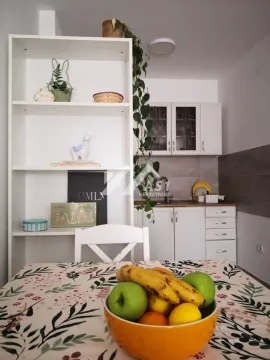 Rent, one bedroom apartment, 43m², Nova Detelinara, Novi Sad Sve Podlokacije - image 5