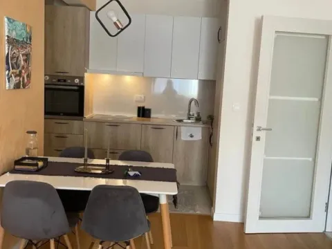 Izdavanje, jednosoban stan, 50m², Central Point, Podgorica - image 4