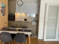 Izdavanje, jednosoban stan, 50m², Central Point, Podgorica - image 4