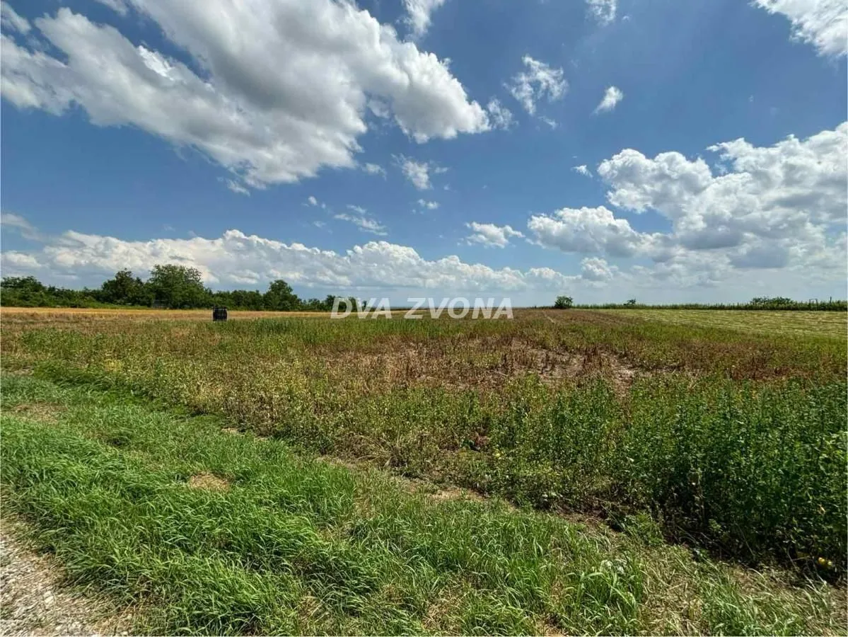 Prodaja, plac, 1000m², Čortanovci, Inđija