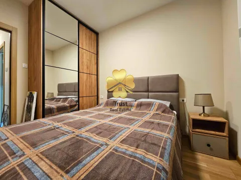 Izdavanje, jednosoban stan, 45m², Pobrežje, Podgorica - image 7