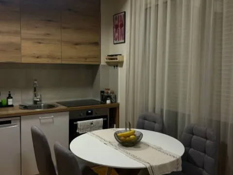 Izdavanje, jednosoban stan, 41m², Budva, Crna Gora - image 7