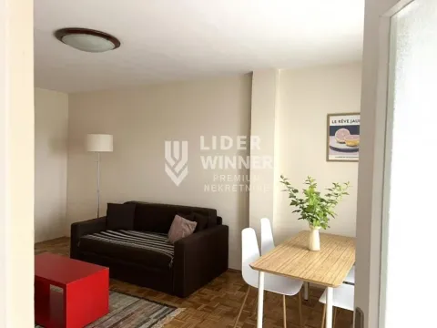 Izdavanje, trosoban stan, 88m², Vračar Sve Podlokacije, Beograd - image 3