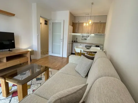 Izdavanje, stan, 40m², Podgorica, Crna Gora - image 3