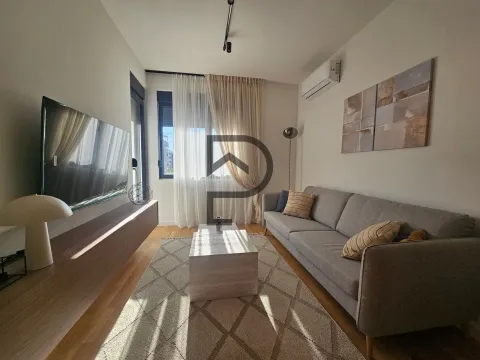 Rent, one bedroom apartment, 36m², Zabjelo, Podgorica - image 1
