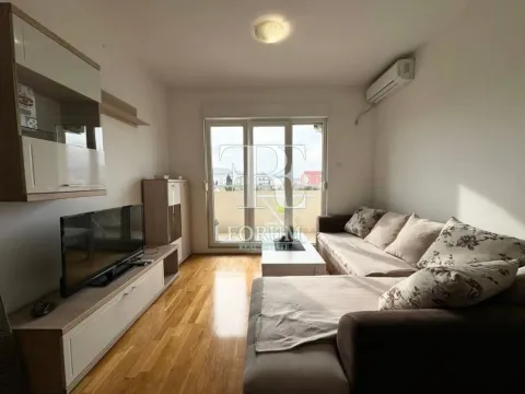 Rent, one bedroom apartment, 50m², Ljubović, Podgorica - image 5