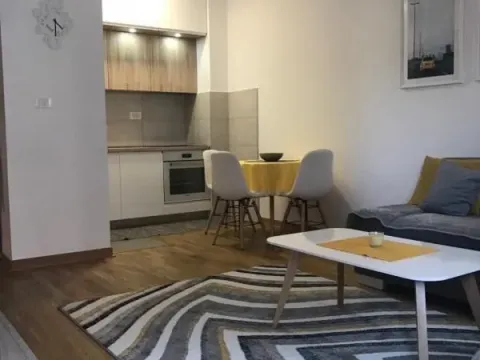 Izdavanje, jednosoban stan, 43m², City Kej, Podgorica - image 2