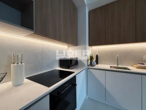 Izdavanje, dvosoban stan, 59m², Savski Venac, Beograd - image 7