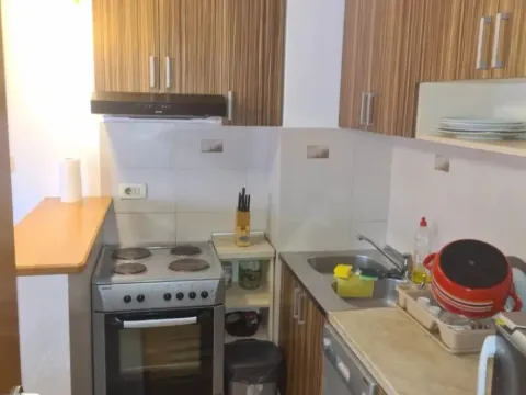 Izdavanje, jednosoban stan, 45m², Gintaš, Podgorica - image 2