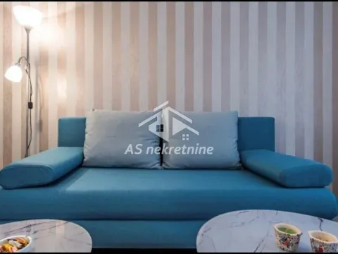 Izdavanje, stan, 38m², Botanička Bašta, Palilula Sve Podlokacije - image 3