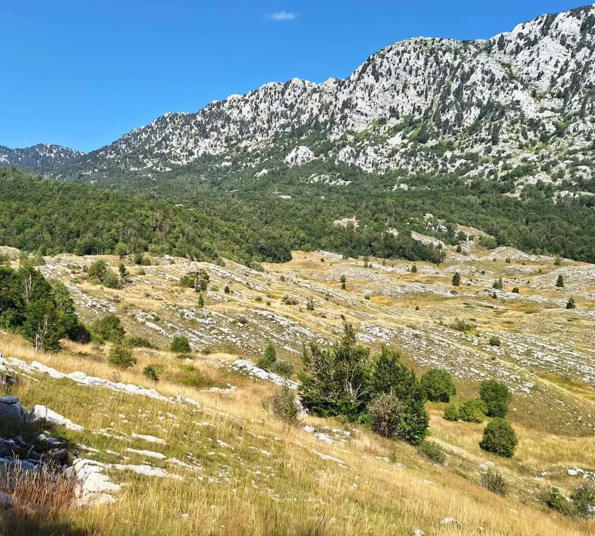 Prodaja, plac, 6368373m², Kotor, Crna Gora