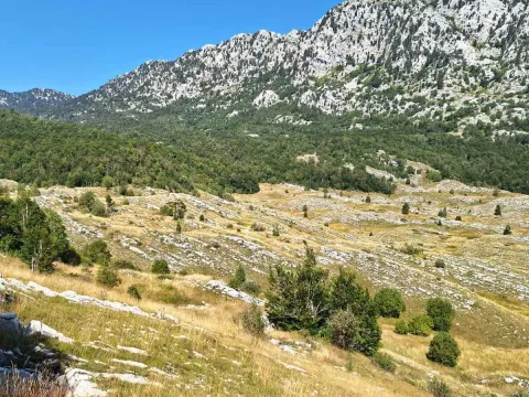 Prodaja, plac, 6368373m², Kotor, Crna Gora - image 4