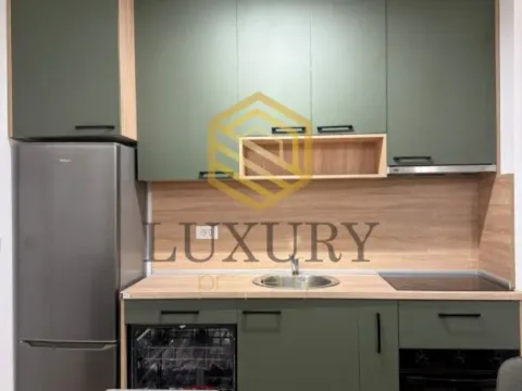 Izdavanje, jednosoban stan, 38m², Zagorič, Podgorica - image 7