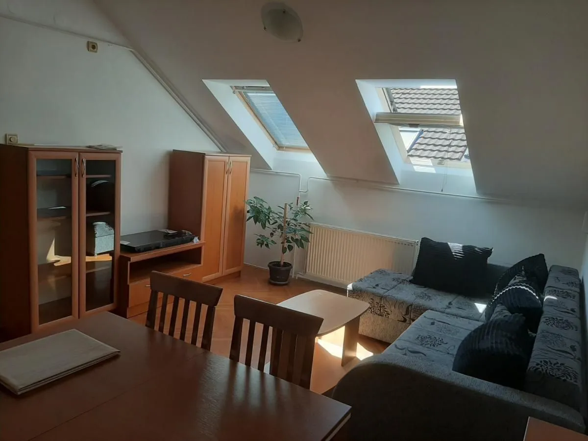 Izdavanje, dvosoban stan, 60m², Socijalno, Novi Sad Sve Podlokacije